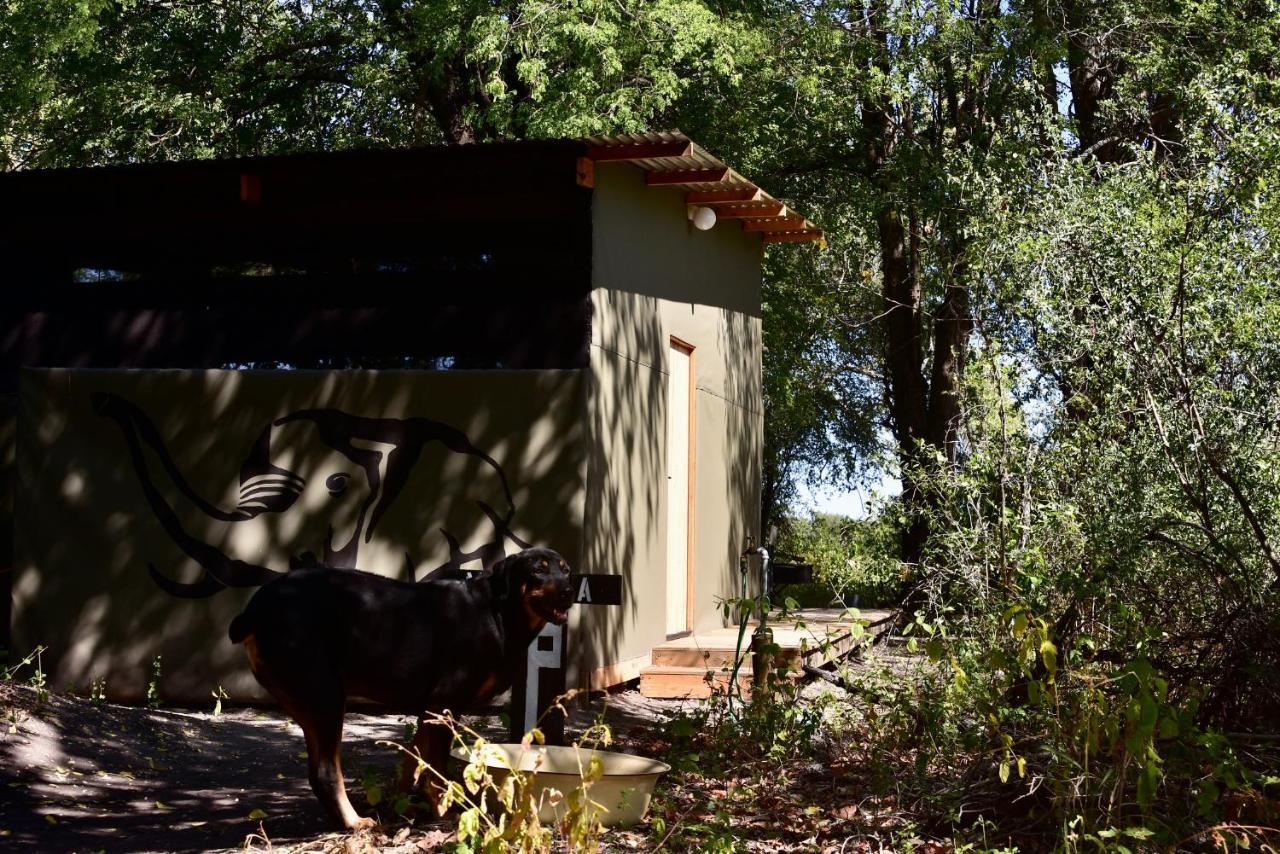 Villa Phazama Farm Maun Exterior foto